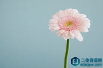 简单且永不落俗的惊艳文案